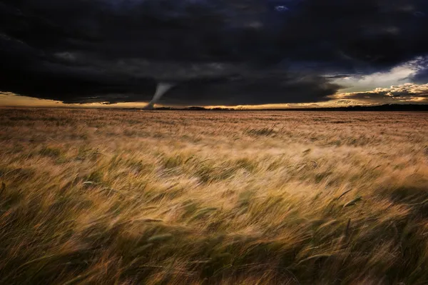 Tornado twister sobre campos na tempestade de verão — Fotografia de Stock