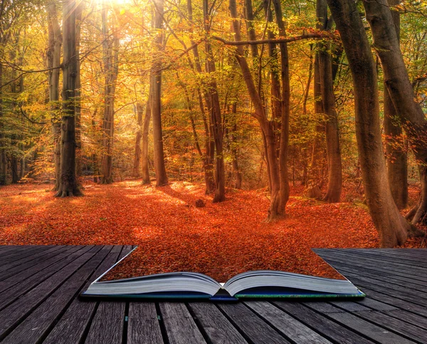 Vibrant Autumn Fall forest landscape image in pages of book — Stock Photo, Image