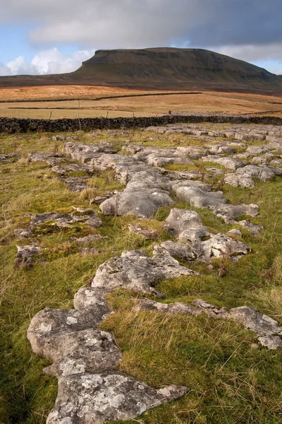 Kalem-y-Gent, yorkshire dales Milli Parkı limes izlendi — Stok fotoğraf