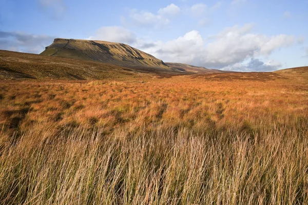Moor and marsh land in front of Pen-y-Ghent in Yorskshire Dales — Stock Photo, Image