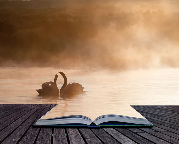 Coppia di cigni accoppiati su nebbia nebbiosa autunno autunno lago toccante scen — Foto Stock