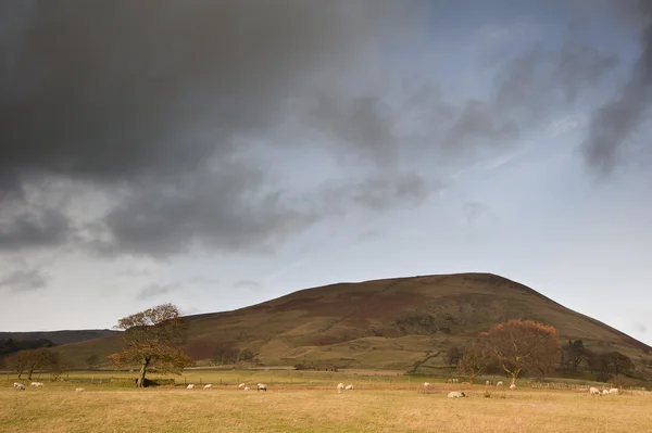 Kinder scout w Parku Narodowego peak district w kolorach jesieni — Zdjęcie stockowe