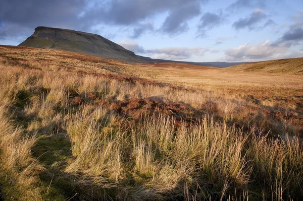 Kalem-y-Gent yorkshire dales national park sonbahar akşam — Stok fotoğraf