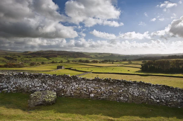 View across fields towards Wharfe Dale in Yorkshire Dales Nation — Stock Photo, Image