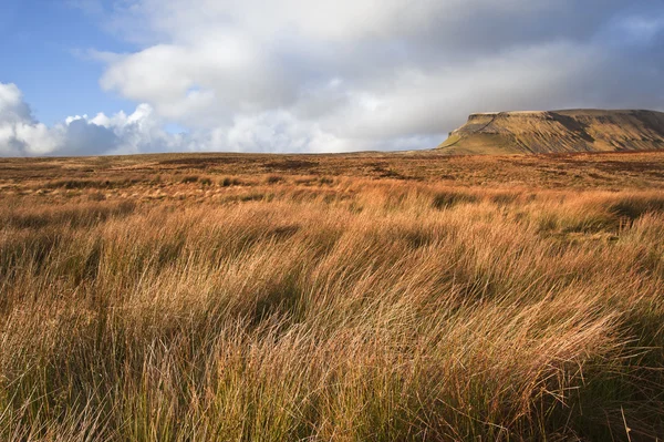 View across moor leading to Pen-y-Ghent in Yorkshire Dales Natio — Stock Photo, Image