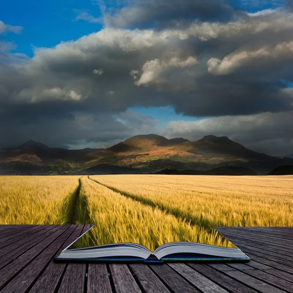 Bellissimo paesaggio di campo di mais che porta alla catena montuosa con — Foto Stock