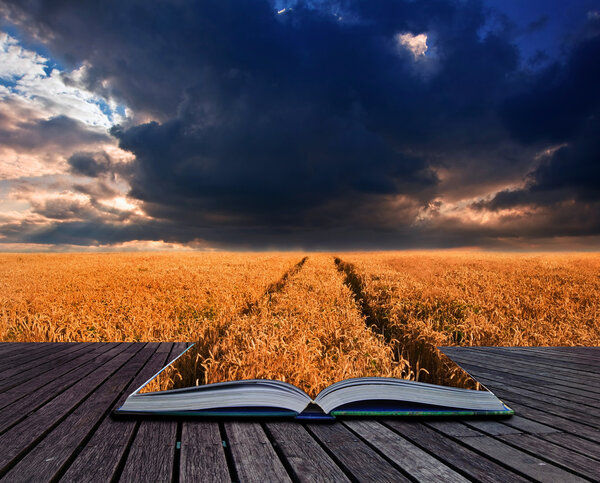 Creative concept image of landscape of golden field of wheat under a dramaticsky in pages of book