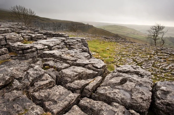 Malham dale från kalksten trottoaren över malham vik i yorkshi — Stockfoto