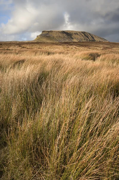 Pen-y-Ghent en la distancia detrás de páramos en Yorkshire Dales National — Foto de Stock