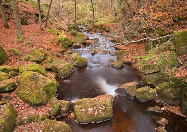 Burbage Brook fluye a través de la garganta de Padley en otoño en Peak Dist — Foto de Stock