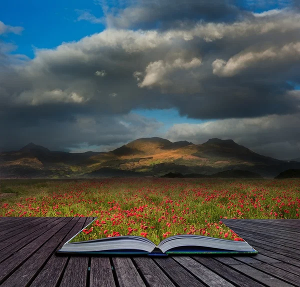 Landscape of poppy fields in front of mountain range with dramat — Stock Photo, Image