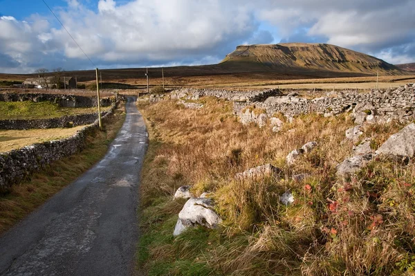 Pennine Way leading up to Pen-y-Ghent in Yorkshire Dales Nationa — Stock Photo, Image
