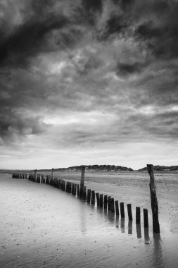 Black and white image of beach at low tide with wooden posts lan