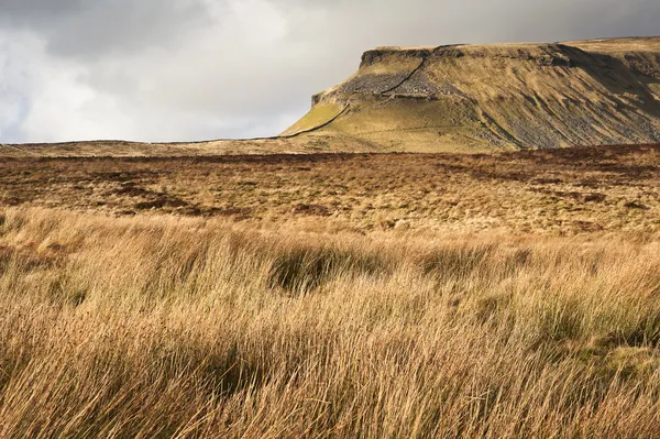 Grassy moors leading to Pen-y-Ghent in Yorkshire Dales National — Stock Photo, Image