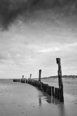 Black and white image of beach at low tide with wooden posts lan clipart