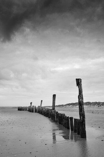Black and white image of beach at low tide with wooden posts lan