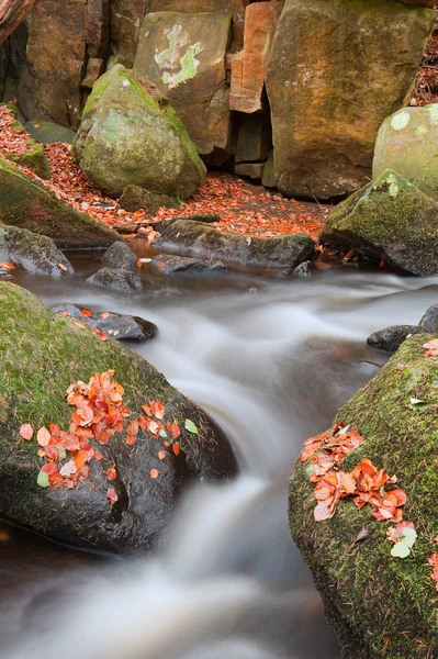 Detalle de agua borrosa con rocas nad Hojas de otoño en Padley Gorg — Foto de Stock