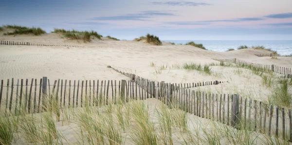 Dune di sabbia erbose paesaggio all'alba — Foto Stock