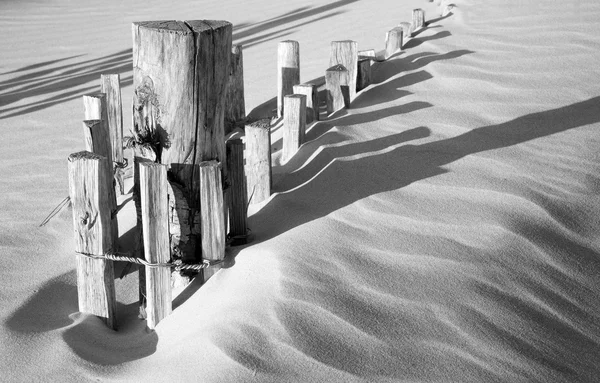 Schwarz-Weiß-Bild eines Holzzaunes in Sanddünen — Stockfoto
