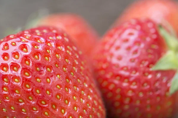 Macro shot di fragole fresche estive — Foto Stock