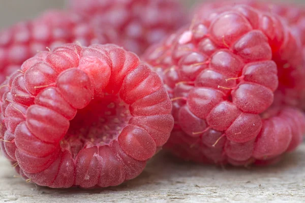 Macro image of fresh Summer raspberries — Stock Photo, Image