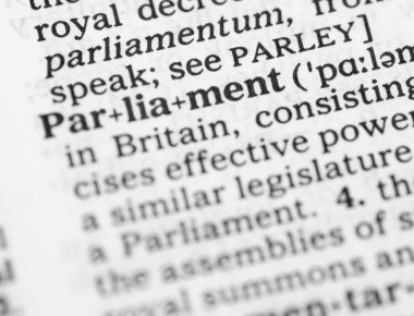 görüntüyü Parlamentosu sözlük tanımı