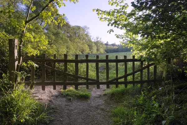 Hermosa puerta de edad en campo campo rústico antigua sensación de moda —  Fotos de Stock