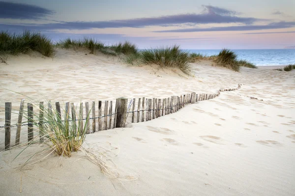 Пейзаж трав'янистих піщаних дюн на сході сонця — стокове фото