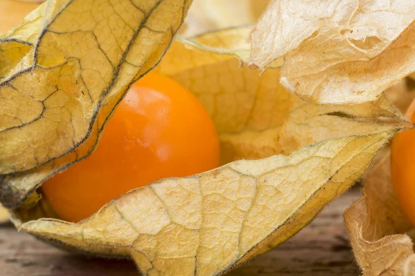 Macro image of fresh physallis berries — Stock Photo, Image