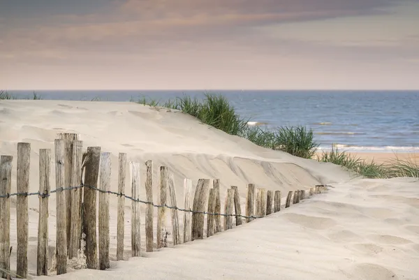 Paisaje de dunas de arena cubierta de hierba al amanecer — Foto de Stock