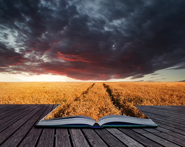 Kreativa koncept sidorna i boken fantastiska wheatfield landskap summan — Stockfoto