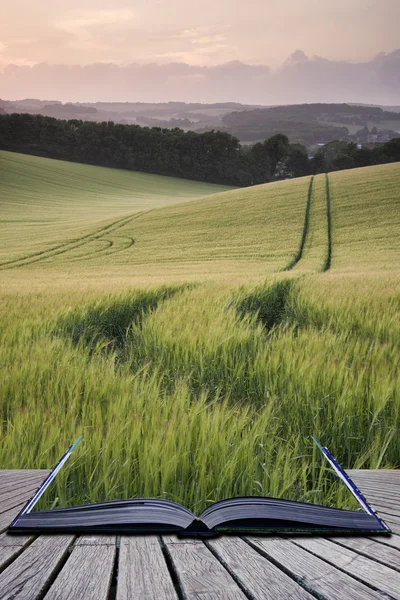 Koncepcja kreatywnych stron książka lato krajobraz obrazu f pszenicy — Zdjęcie stockowe