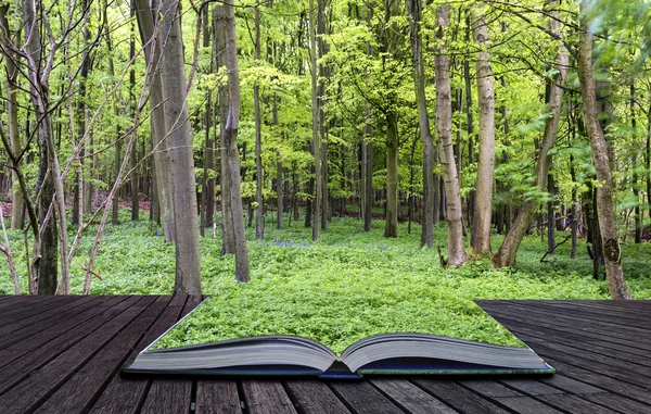 Yaratıcı kavramı sayfalar kitap canlı gür yeşil bahar orman — Stok fotoğraf