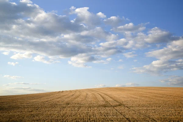 Paesaggio di campagna di campi appena raccolti nella giornata estiva — Foto Stock