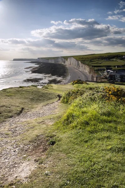 Seven Sisters from Birling Gap Summer evening. — Stock Photo, Image