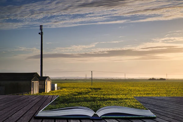 Páginas conceptuales creativas del libro Granja en campo de cultivo de colza en su — Foto de Stock