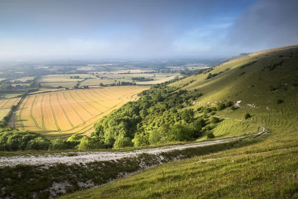 Vista a través del paisaje rural inglés durante la víspera del verano —  Fotos de Stock