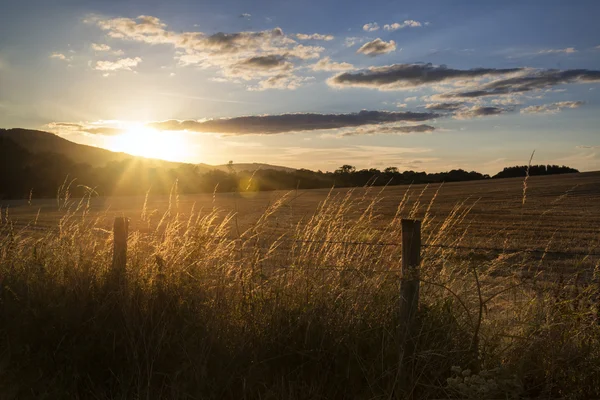Hermoso paisaje de verano de campo de retroiluminación del sol en los países —  Fotos de Stock