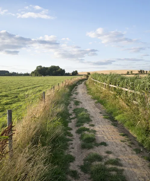 Countryside landscape of track leading through fields on Summer — Stock Photo, Image