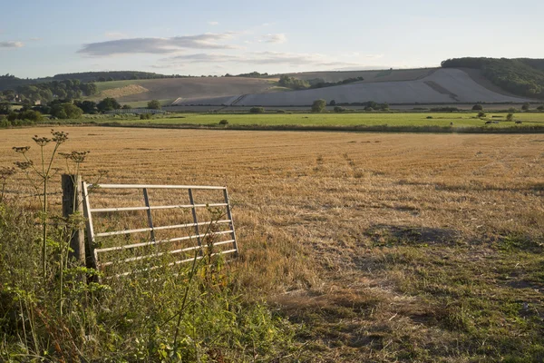 Countryside Summer landscape of open gate into freshly harvested — Stock Photo, Image