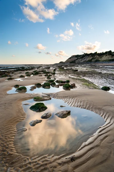 Summer landscape with rocks on beach during late evening and low — Stock Photo, Image