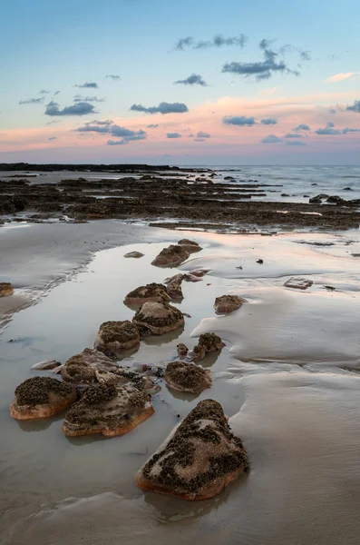 Paesaggio estivo con rocce sulla spiaggia durante la tarda sera e bassa — Foto Stock