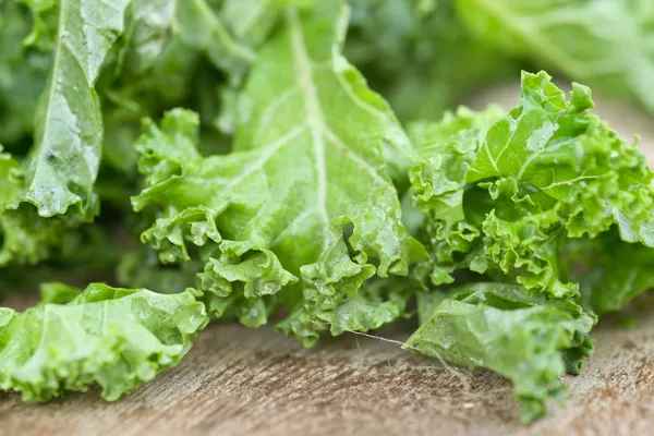 Mazzo di foglie di insalata di cavolo appena tagliate — Foto Stock