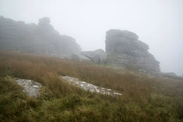 sonbaharın kayalar ve f Dartmoor üzerinde ulusal park peyzaj