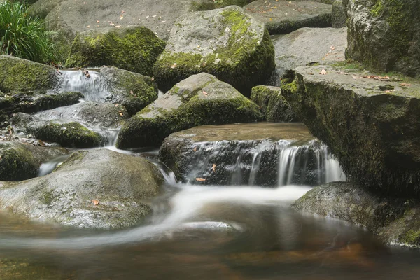 Paesaggio della cascata Becky Falls nel Parco Nazionale di Dartmoor Eng — Foto Stock