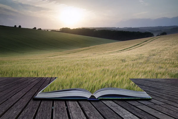 Kreatives Konzept Seiten des Buches Sommer Landschaft Bild von Weizen f — Stockfoto