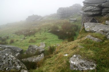sonbaharın kayalar ve f Dartmoor üzerinde ulusal park peyzaj