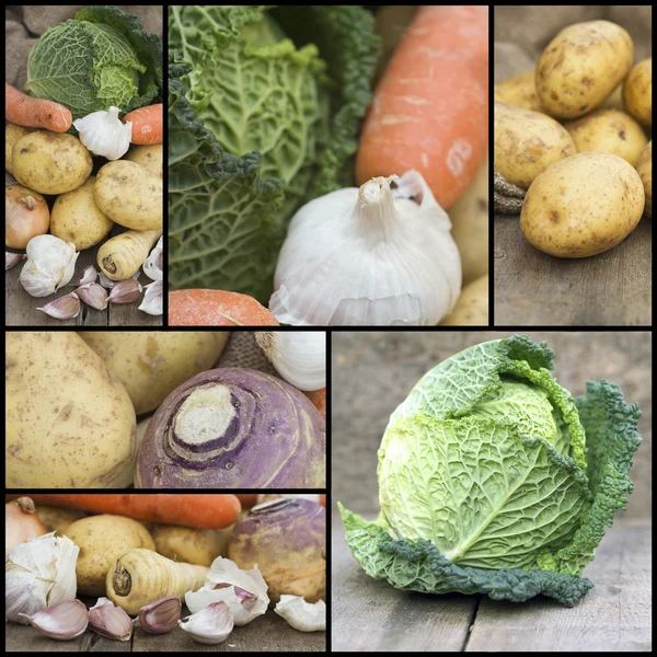 Compilación collage de alimentos frescos con un tema de invierno vegetab — Foto de Stock