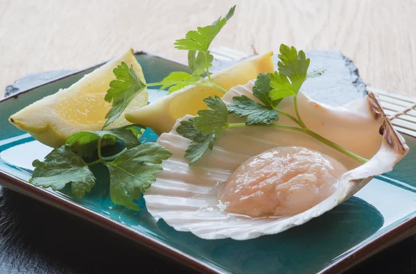 In shell fresh scallop with lemon and parsley garnish — Stock Photo, Image