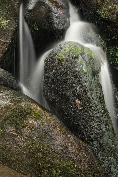 Landscape of Becky Falls waterfall in Dartmoor National Park Eng — Stock Photo, Image